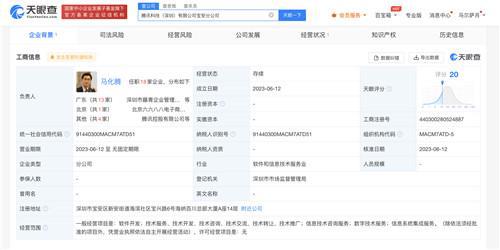 馬化騰任騰訊科技寶安分公司負責人，聚焦信息系統集成服務發展