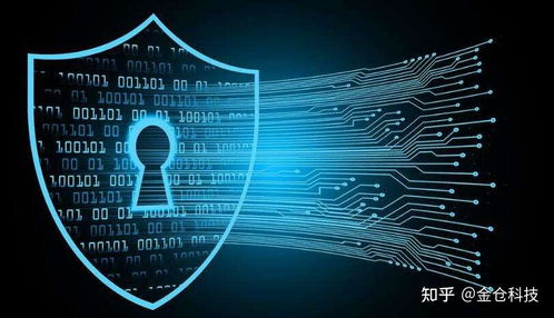 Web3.0、IPFS與Filecoin的協同演進 信息系統集成服務的視角